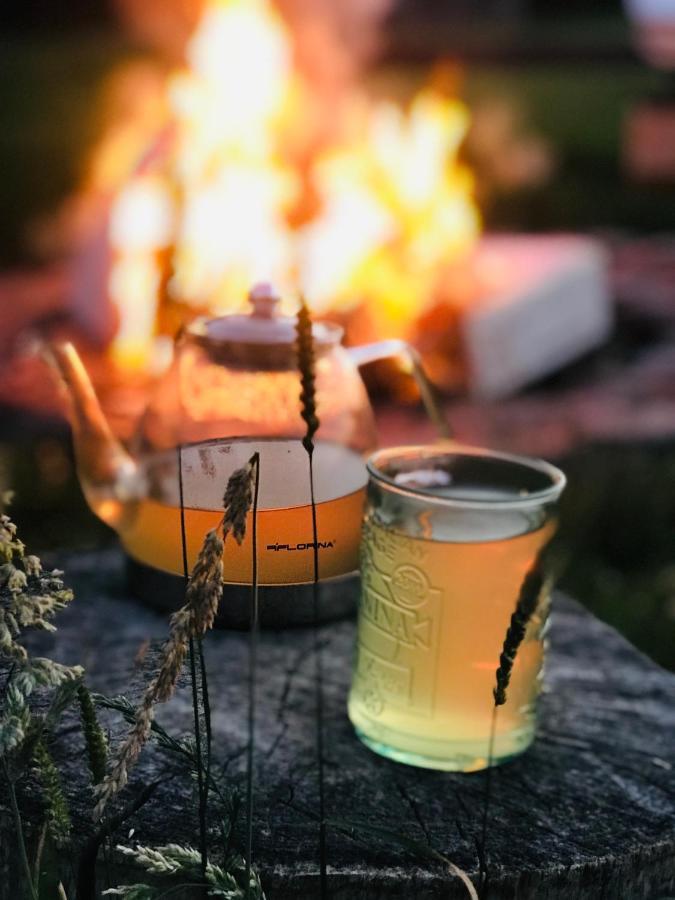 Zagroda W Puszczy Białowieża Kültér fotó